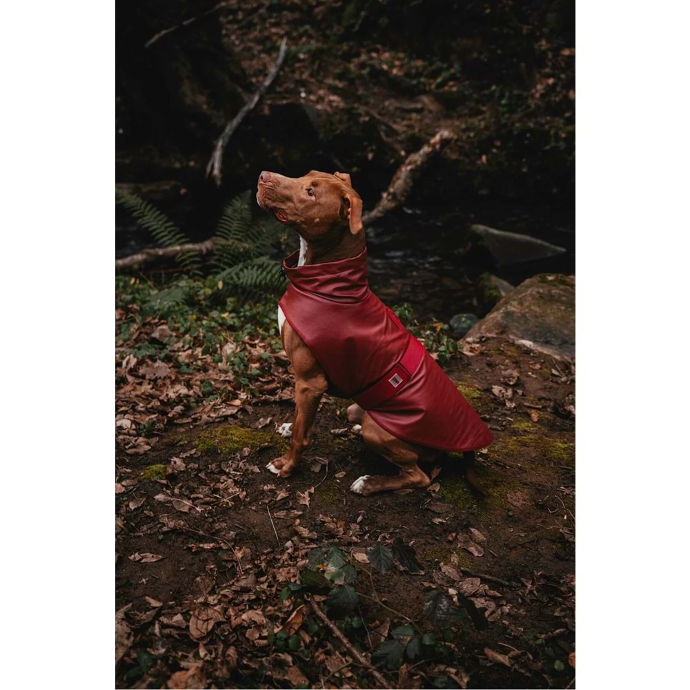 JIMI FOR ALL Bordox Küçük Ve Büyük Irk Köpek Yağmurluğu