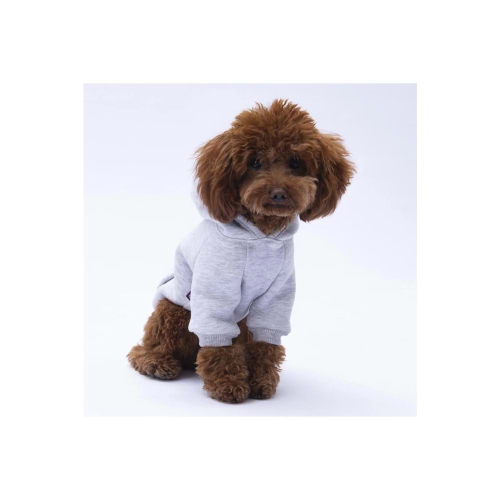 Pettrend Gri Kanguru Cepli Kedi-Köpek Hoodie- Sweatshirt Kedi Köpek Kıyafeti