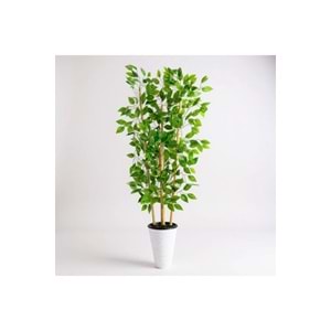 ERHAN FLOWERS Yapay Benjamin Ağacı 140CM Bambu 3 Gövdeli