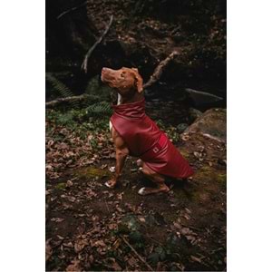 JIMI FOR ALL Bordox Küçük Ve Büyük Irk Köpek Yağmurluğu