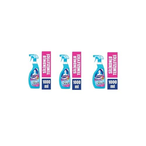 Highgenic Silikonlu temizleyici 1000ml (3 adet)