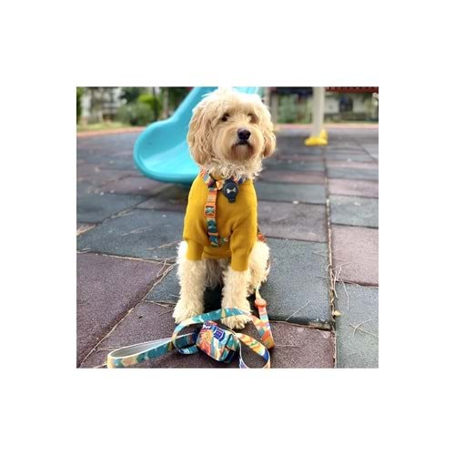 Fluffy Buddies Store Jade Gezdirme Tasması M