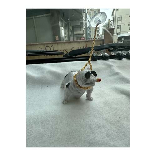 MR Beyaz Torpido Üstü Zincirli Pitbull Köpek