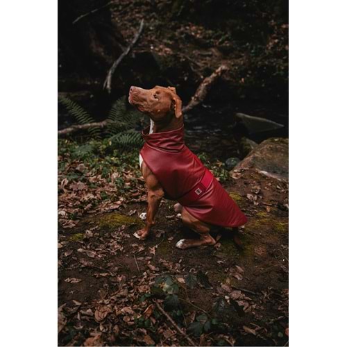 JIMI FOR ALL Bordox Küçük Ve Büyük Irk Köpek Yağmurluğu