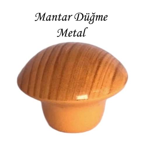 Açık Kayın Mantar Düğme