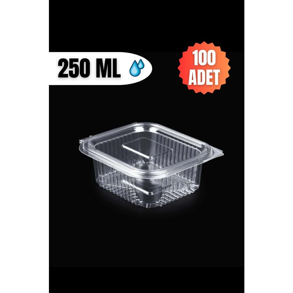 Plastik Kapaklı Kullan At Saklama Kabı Sızdırmaz Kap 250 ML 100 Adet