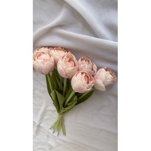 Z&B FLOWERS Vazo çiçeği Şakayık Pastel dekor çiçeği Pudra Çiçek Yapay çiçek