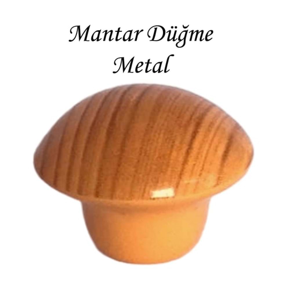 Açık Kayın Mantar Düğme