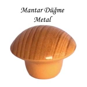 Açık Kayın Mantar Düğme
